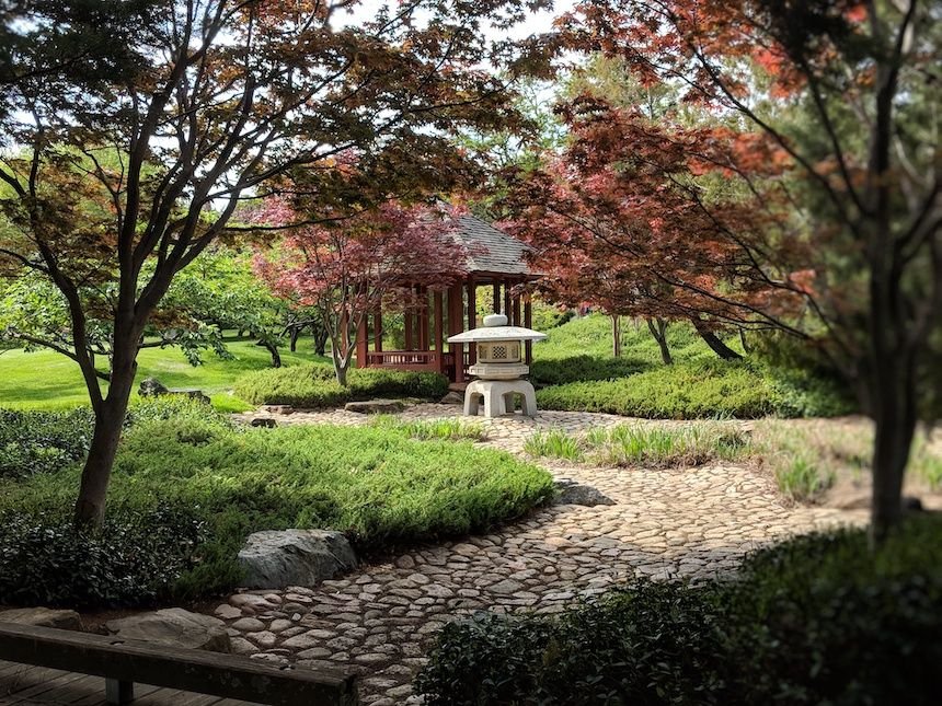 Canberra Nara Peace Park at Lennox Gardens.