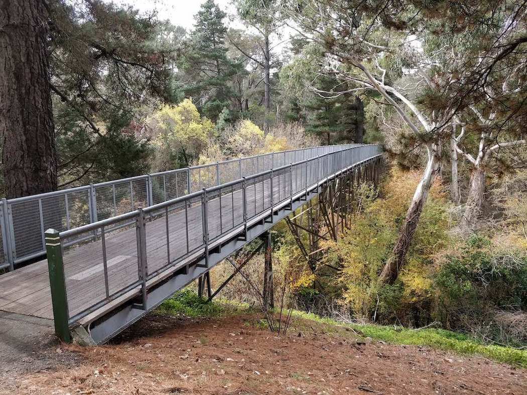 Walking trails in the beautiful Hepburn Springs Mineral Reserve in Daylesford, Victoria.