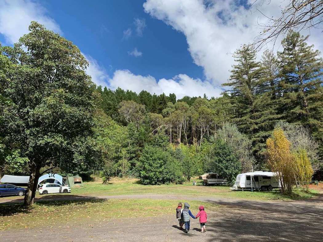 Explore the forest at Mt Franklin Reserve.