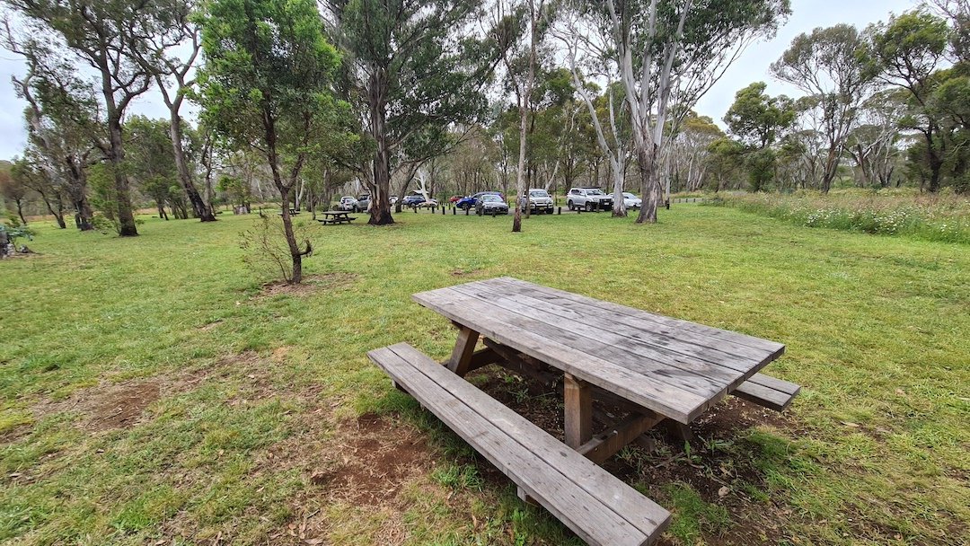 Picnic area at the beautiful Ebor Falls, NSW.