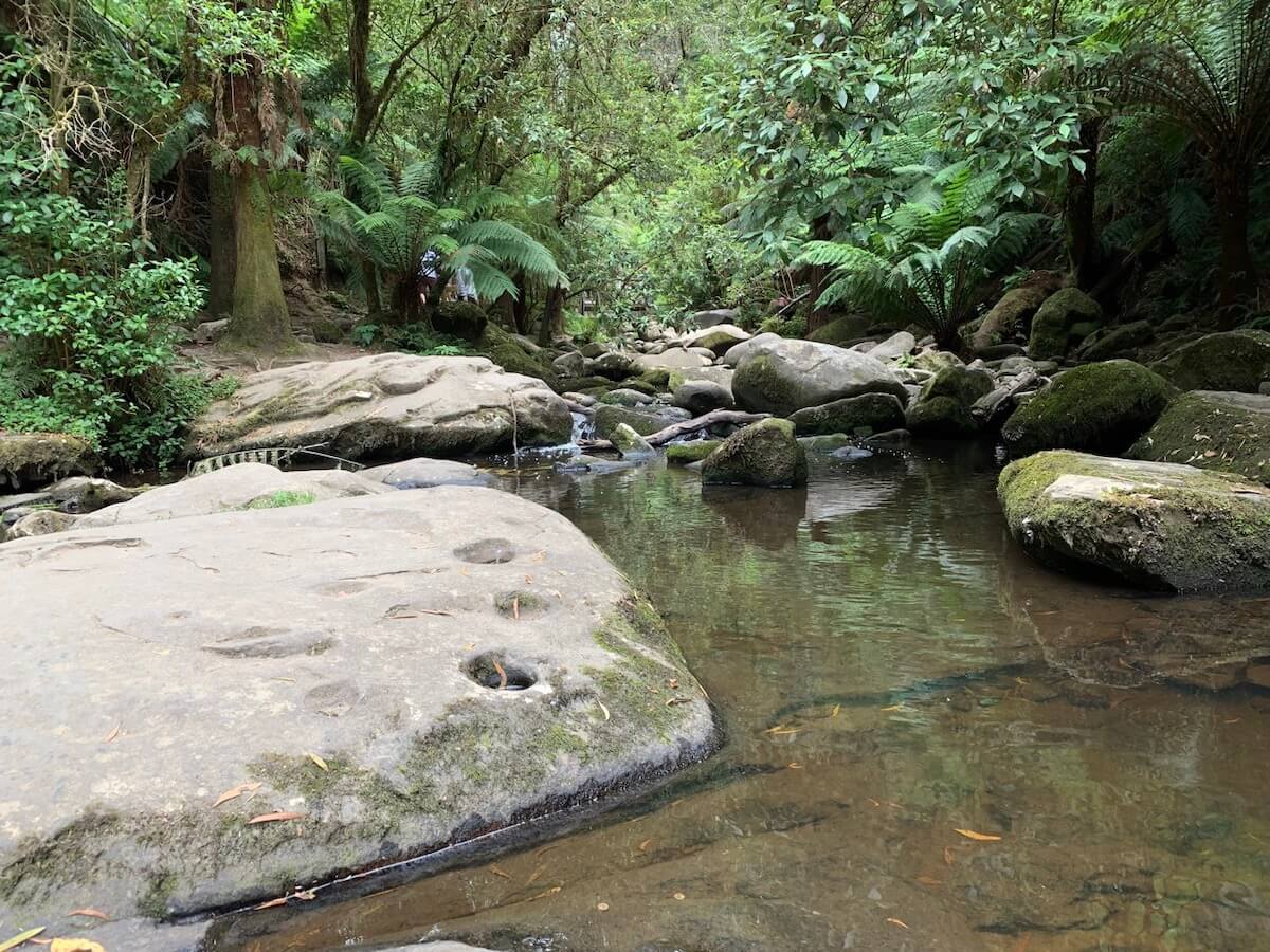 Beautiful Erskine River Walk, Great Otway National Park, Great Ocean Road, Victoria.