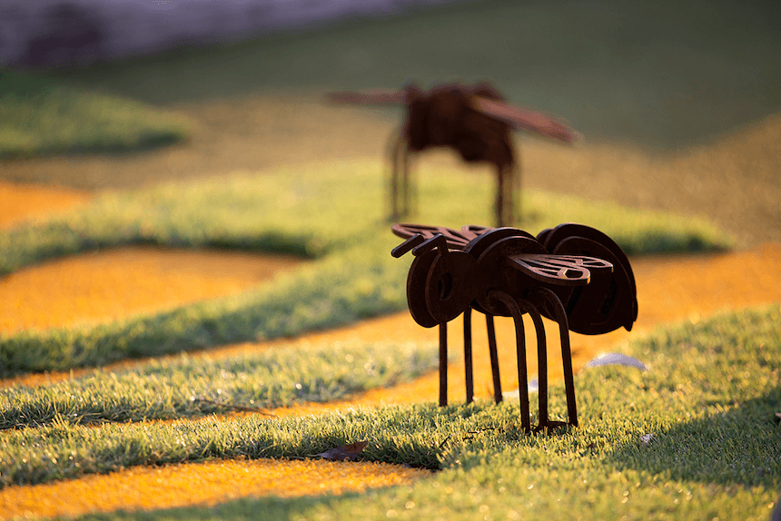 Uniquely themed mini-golf holes, inspired by Australian nature.