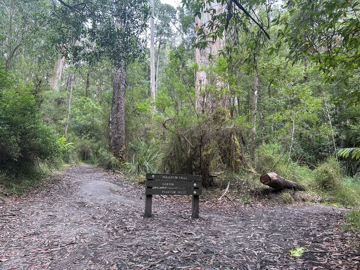 Three Falls Circuit, Lorne, Victoria: Henderson Falls, Phantom Falls, Canyon directions.