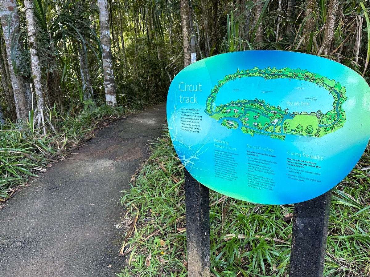 Circuit track at Lake Eacham.