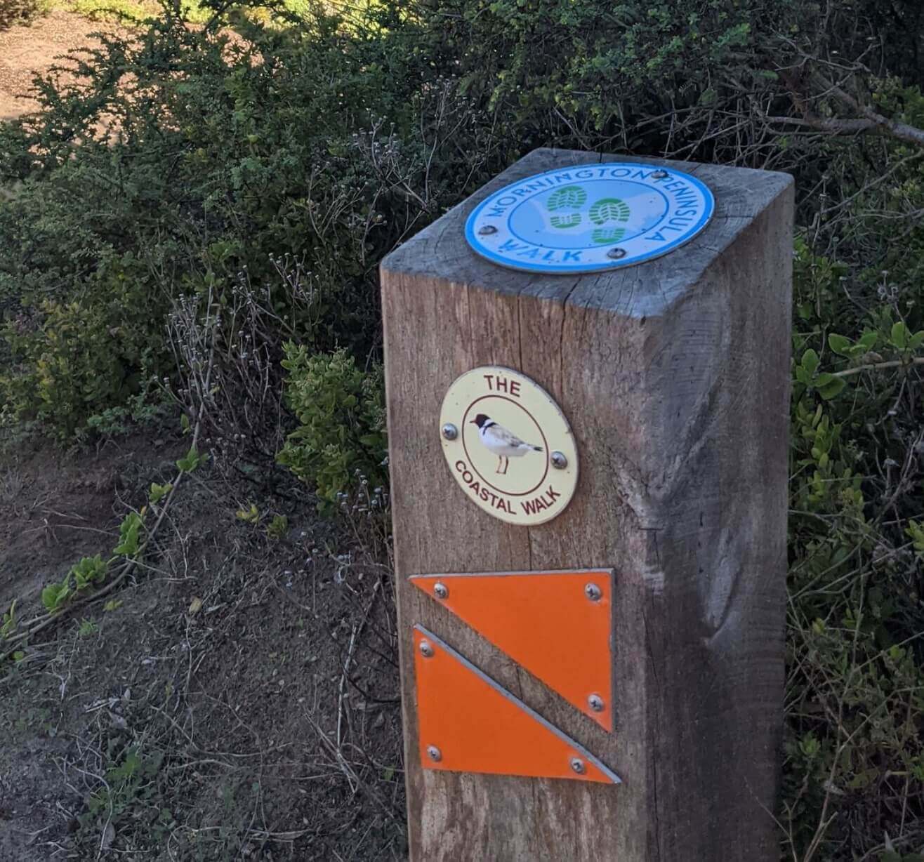 The Coastal Walk is identified by the Hooden Plover symbol. Image source: Darion Teoh.