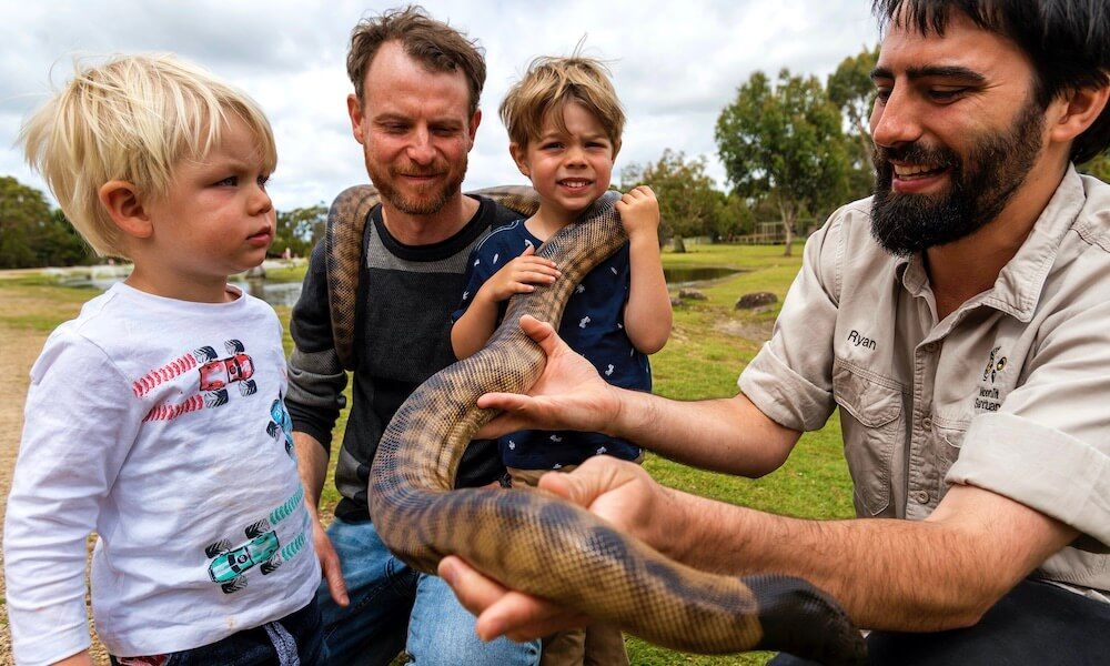 Python show at Moonlit Sanctuary wildlife park.