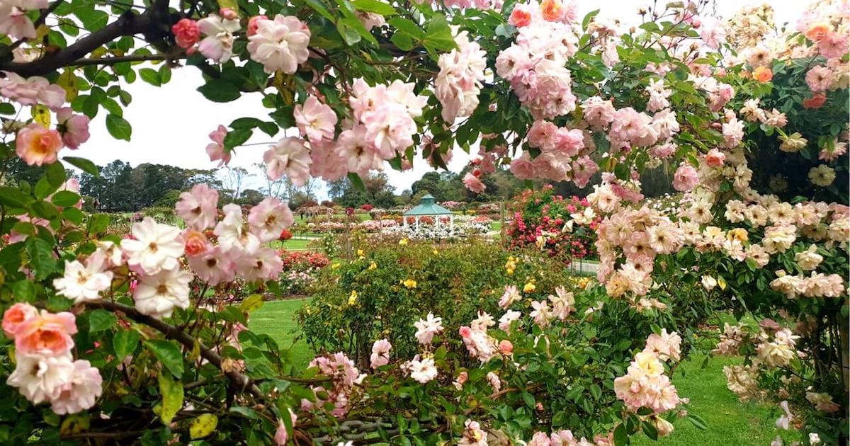 Free and the most beautiful botanical gardens in Melbourne.