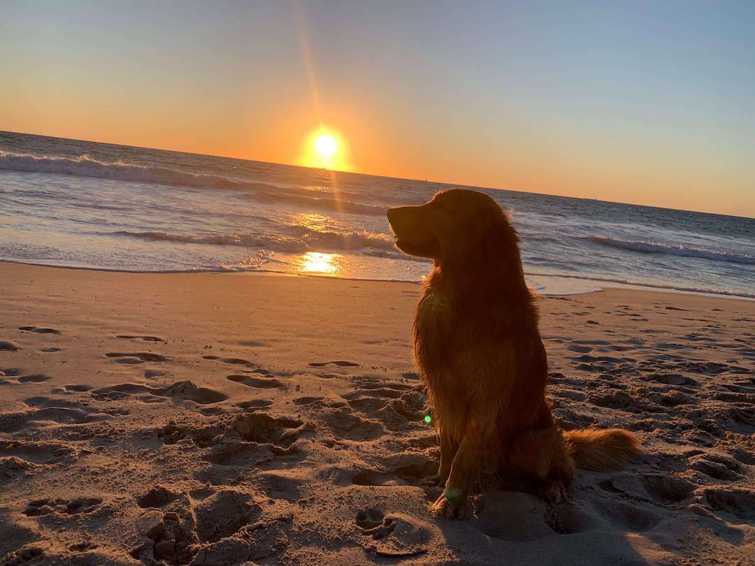 Don't miss the fantastic sunset at Peasholm Beach in Perth.