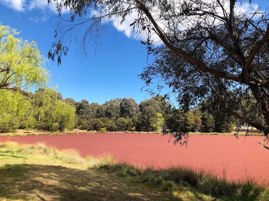 Canberra free things to do: Bruce Pink Lake Canberra.