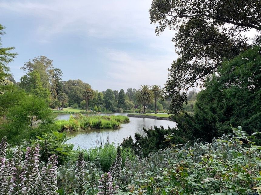 Ornamental Lake at Royal Botanic Gardens Melbourne.