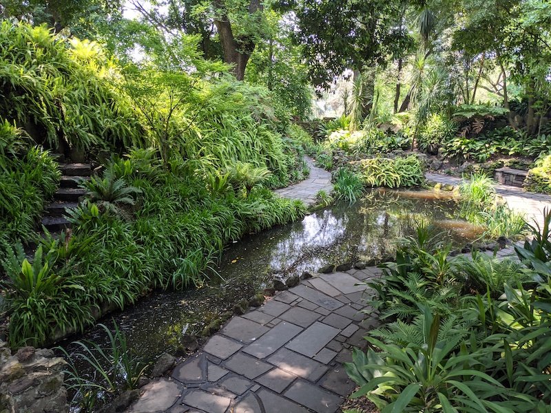 Fern Gully at the Royal Botanic Gardens Melbourne.