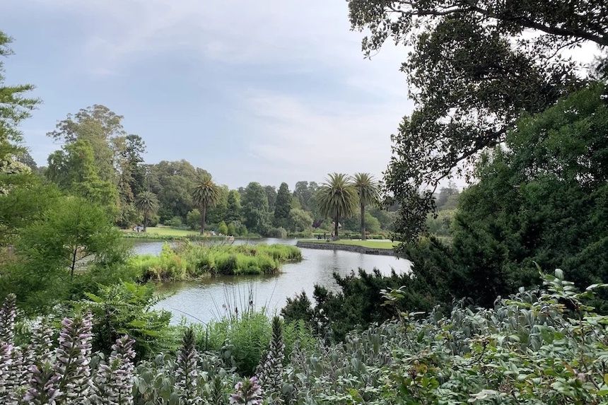 Royal Botanic Gardens Melbourne, one of the best family-friendly picnic spots.