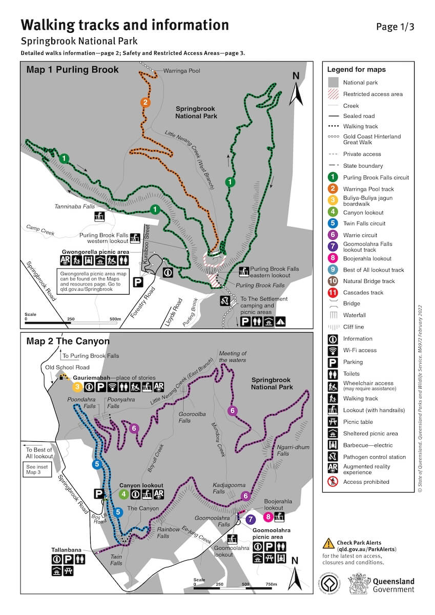 Springbrook National Park - Walking tracks and information.