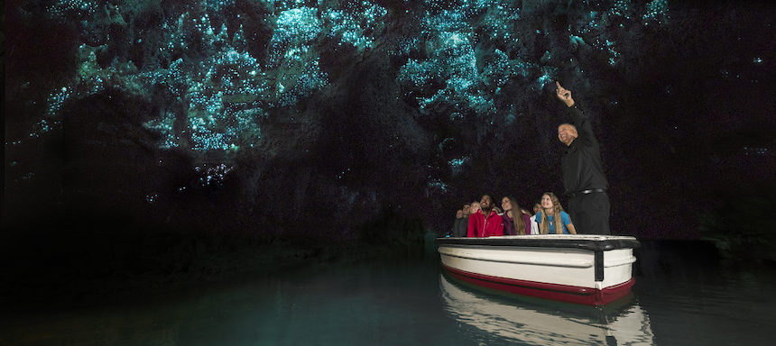 Waitomo Glowworm Caves.