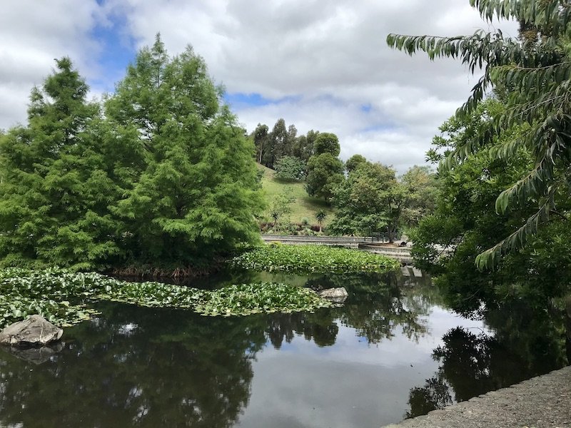 One of the best botanical parks in Melbourne: Wilson Botanical Gardens.