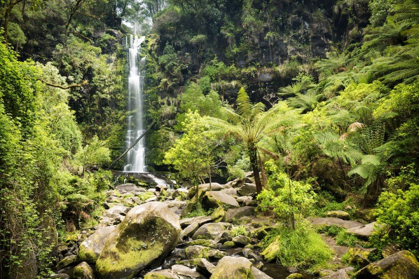 Erskine Falls & Walk Near Lorne, Victoria