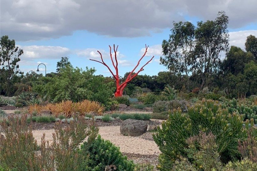 Melton Botanic Garden