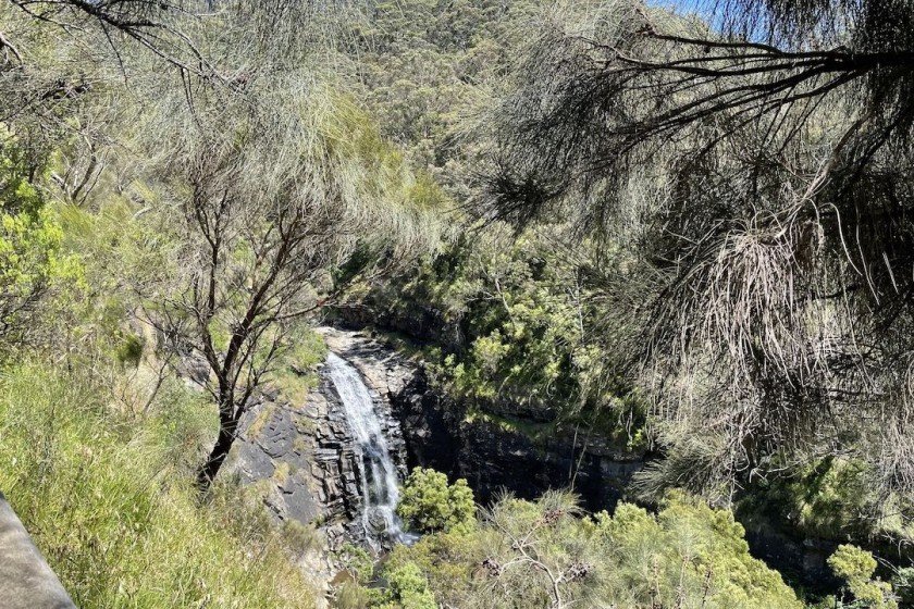 Sheoak Falls Walk, Lorne