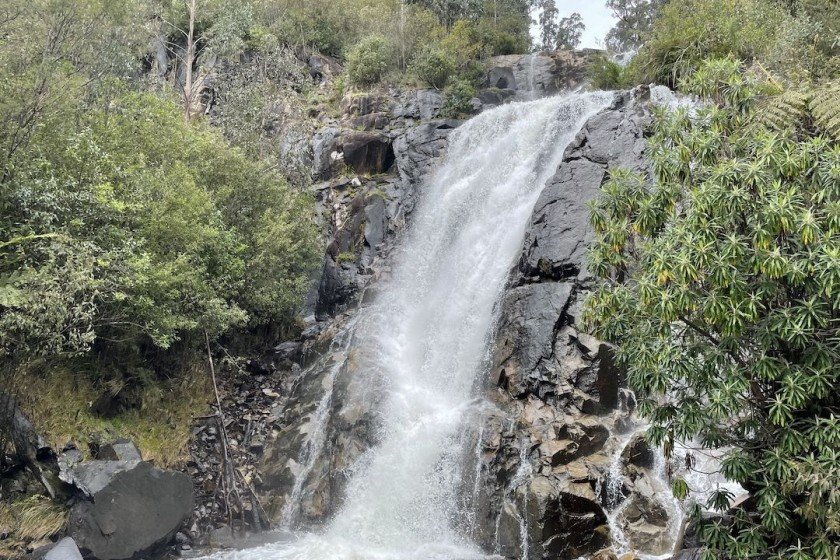 Steavenson Falls, Marysville