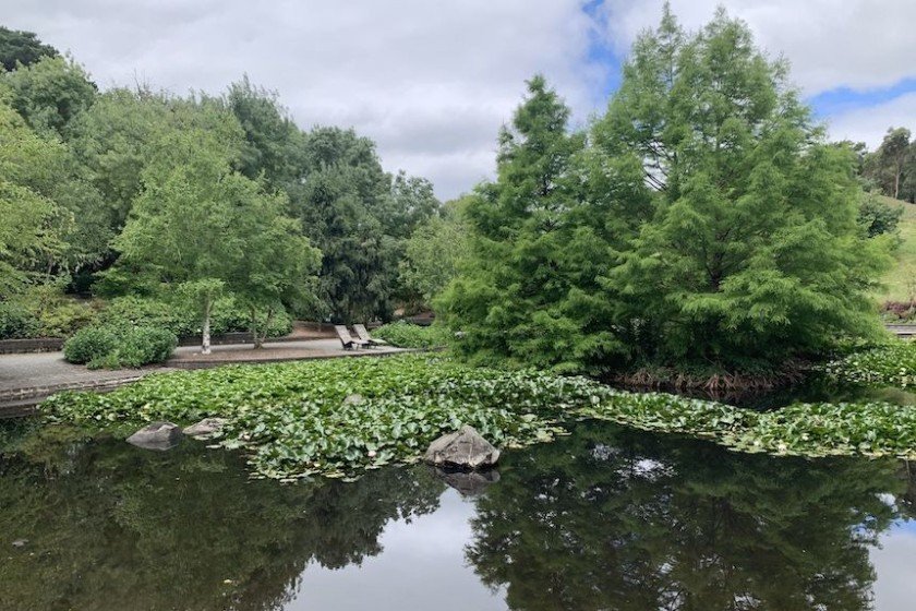 Wilson Botanic Park & Playground Berwick